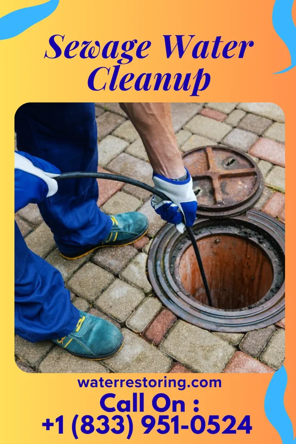 Sewage Water Cleanup in Milton, NC