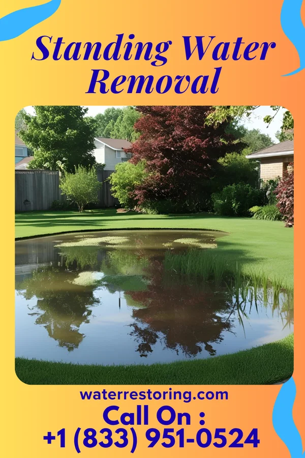 Standing Water Removal in Milton, NC